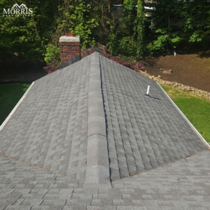 Leaking Roof