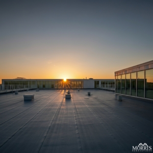 Top Roofing Replacement Companies in Your Area